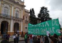 Paradigma del despido