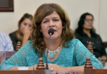 Proponen crear un Registro de golpeadores