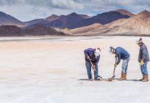 Litio: Borelli advierte posible daño ambiental en la Puna