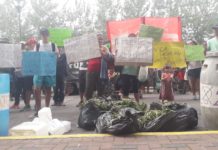 Contra el hambre y los agrotóxicos