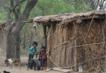 En Salta hay 7 mil niños wichís en riesgo nutricional