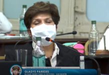 Apocalíptica: Diputada duda que en Salta no haya circulación viral