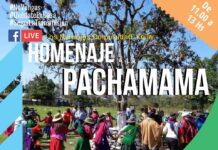Homenaje a la Pachamama también virtual