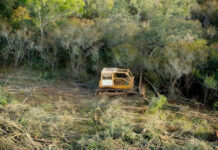 Hay más de 50 actuaciones por desmontes y daños ambientales en Salta