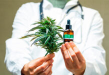 La legislatura aprobó la adhesión a la ley de Cannabis medicinal