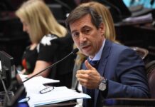 Aborto: El encendido discurso de Naidenoff