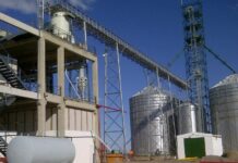 Autorizan aumento en biocombustibles: ¿Impactará en naftas y gasoil?