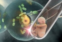 Fertilización asistida: La Corte no quiere limitaciones en intentos