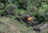Fallo judicial reactivó la protección ambiental de los bosques chaqueños