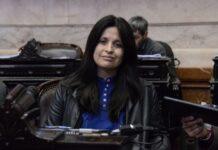 Minería: Diputada solicitó conocer rol de administraciones provinciales