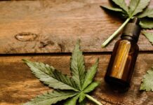 El cannabis medicinal
