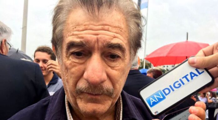 Storani cuestionó a Milei: comparó su política sobre Malvinas con Galtieri