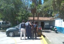 Detienen a dos zorros por vender licencias truchas