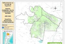 En 2022 se desmontaron más de 15 mil hectáreas en Salta