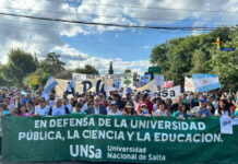 Resultados de las políticas universitarias en Salta