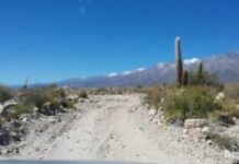 Policía condenado por atropellar a una jubilada