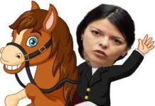 Diputada Nacional subida al pony