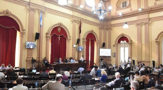 Rechazan incorporar a psicólogos sociales en equipos escolares