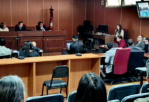 Jimena Salas: La hipótesis acusatoria que cercó a los hermanos Saavedra