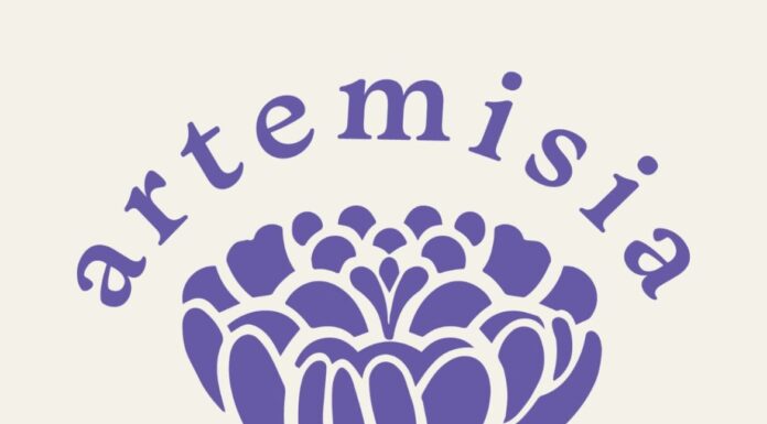 Artemisia: Clínica de Salud sexual