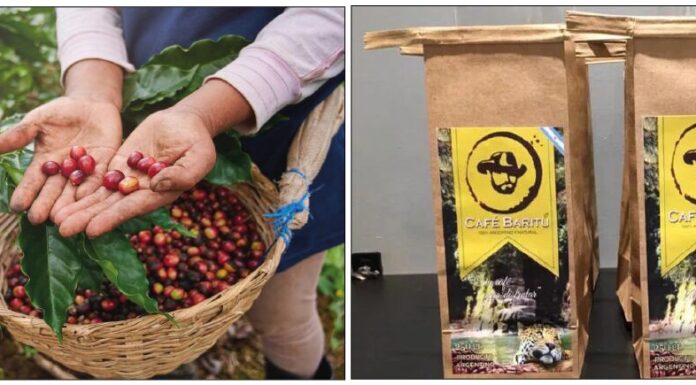 Café con memoria: Viejas disputas, nuevos granos