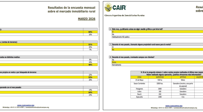 En pausa inmobiliaria: El termómetro rural marca frío en la era Milei