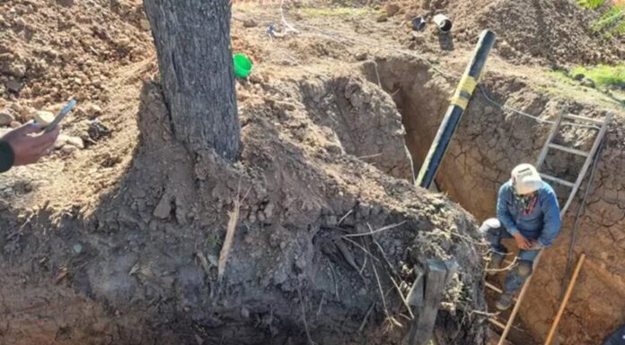 Saiko S.R.L. deberá reparar el daño ambiental causado camino a San Lorenzo