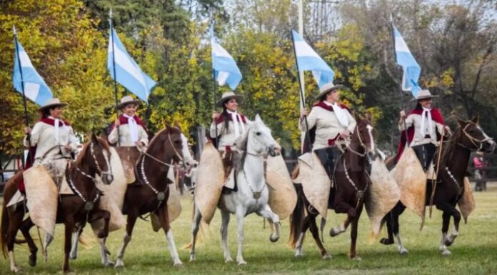 Inició el Concurso Nacional de Caballos Peruanos