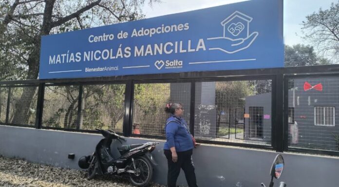 Se perdió, lo encontraron y está en casa