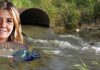 Revocaron otra vez el certificado ambiental del grupo MDay en Vía Aurelia