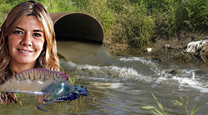 Revocaron otra vez el certificado ambiental del grupo MDay en Vía Aurelia
