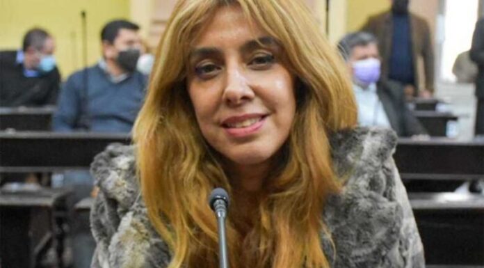 Albeza pidió juicio político contra la auditora Elsa Maidana
