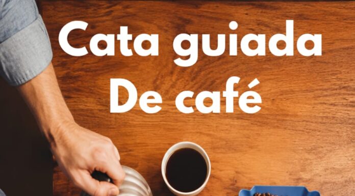 Ciclo de Catas Brasileñas exclusivas