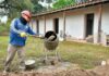 La Provincia retomó la restauración de la histórica Finca El Carmen