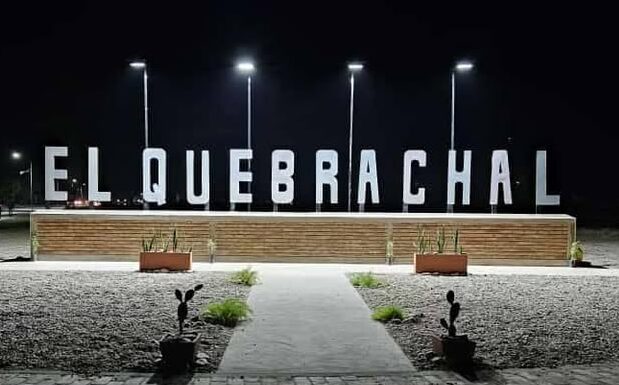 Infracción por tener un quirquincho sin vida