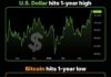 ¿El que apuesta al dolar pierde?