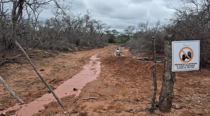 Derrames en pozo petrolero: la investigación continúa