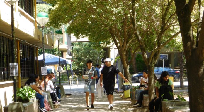 La filosofía como encuentro: XX Jornadas del NOA