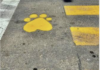 Patitas amarillas: Se pintará en memoria de la víctima