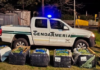 Incautaron 50 kilos de “la buena” en Ruta 9