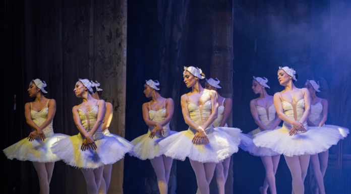 El Ballet de Salta presenta El lago de los cisnes