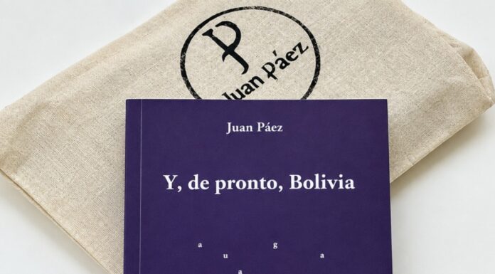 Notas sobre «Y, de pronto, Bolivia», de Juan Páez