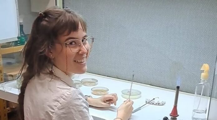 Un hongo que degrada plástico: la gran idea de una científica argentina