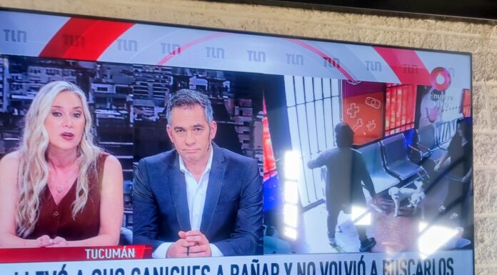 Cuando el abandono también habla de la crisis económica