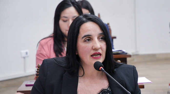 Papelón de Laura Jorge: atribuyó a Milei una obra de Naciones Unidas